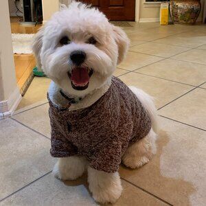 Meet your Posher, Linda